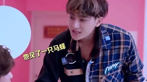 鹿晗娱乐吃瓜是真的吗,真相揭秘还是网络谣言？