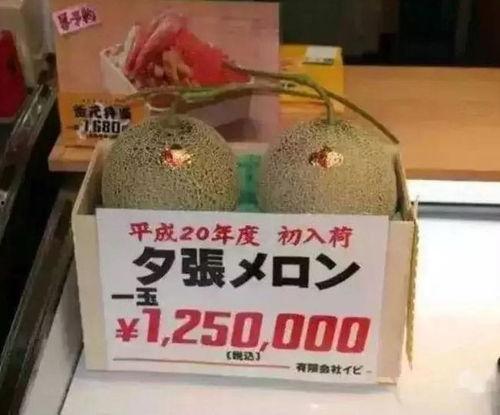 娱乐商业吃瓜,揭秘明星幕后吃瓜大事件