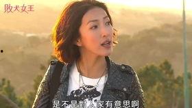 娱乐圈二哥吃瓜,揭秘明星背后的故事与真相