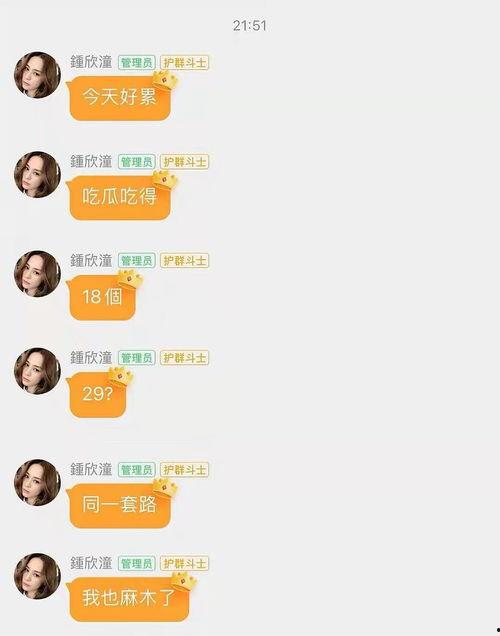 娱乐吃瓜酱谐音歌词大全,揭秘谐音歌词背后的趣味与智慧