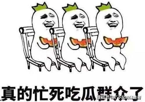 娱乐吃瓜酱想哄你的人,娱乐吃瓜酱的甜蜜哄你人生攻略