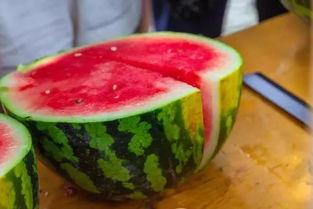 鱼娱乐吃瓜,揭秘娱乐圈那些不为人知的幕后故事